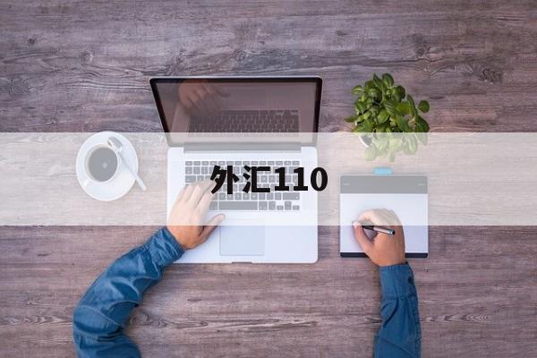 外汇110(外汇110官网安卓下载)