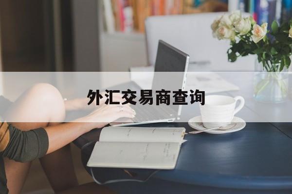 外汇交易商查询(外汇局查询交易明细)