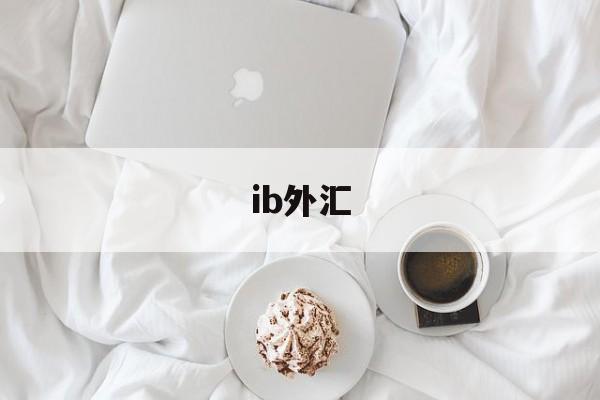 ib外汇(ib外汇交易)